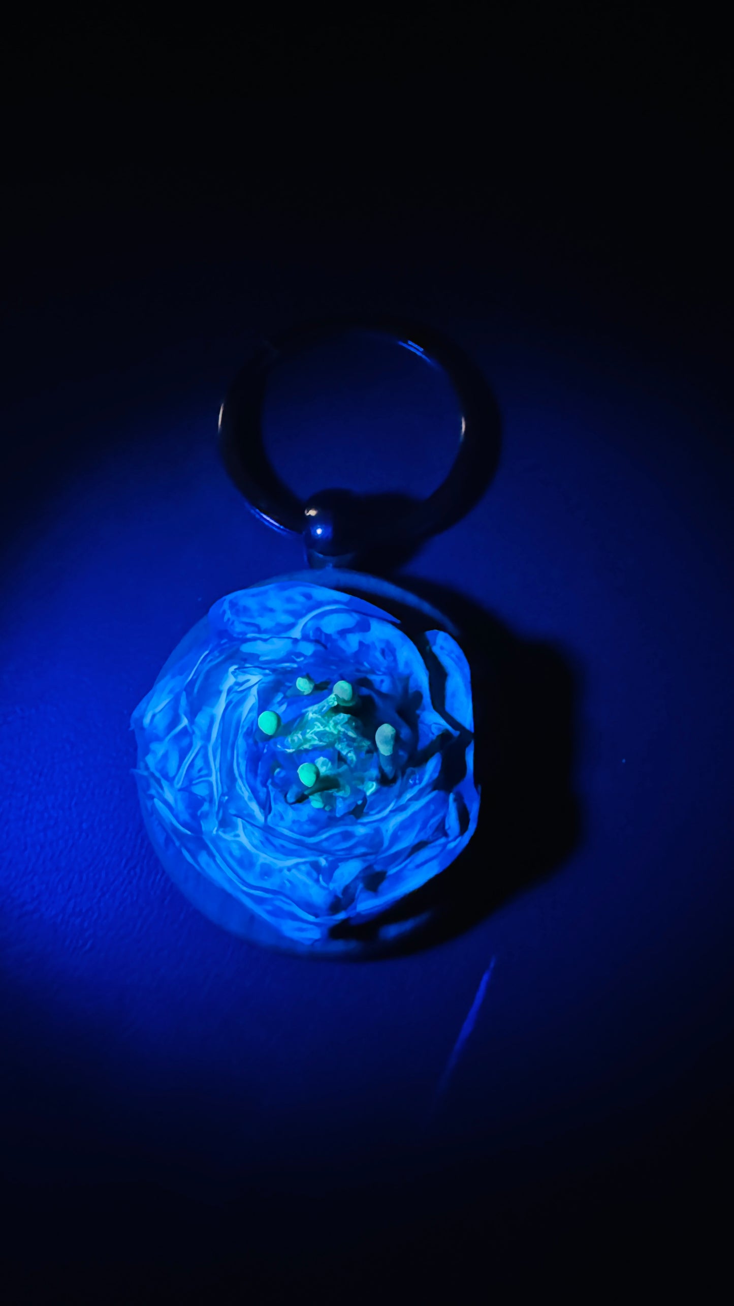 Keychain: Tiffany Blue Rose #14